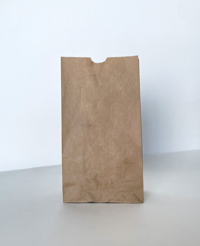 3lb Brown Grocery Bag 